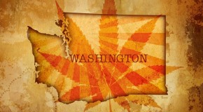 Washington’s Cannabis Dispensaries – Muddy Waters