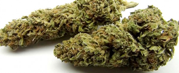 Maui Wowie