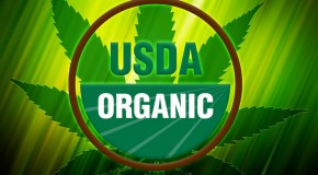 “Organic” Marijuana Fertilizers