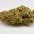 Amnesia Haze