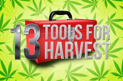 13 Harvest Tools You’ll Feel Lucky to Have